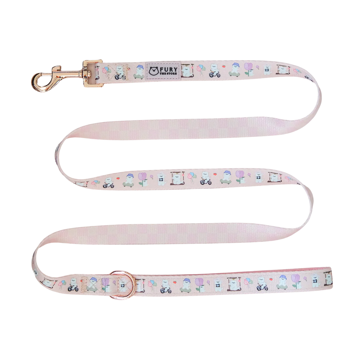 summit in paris leash