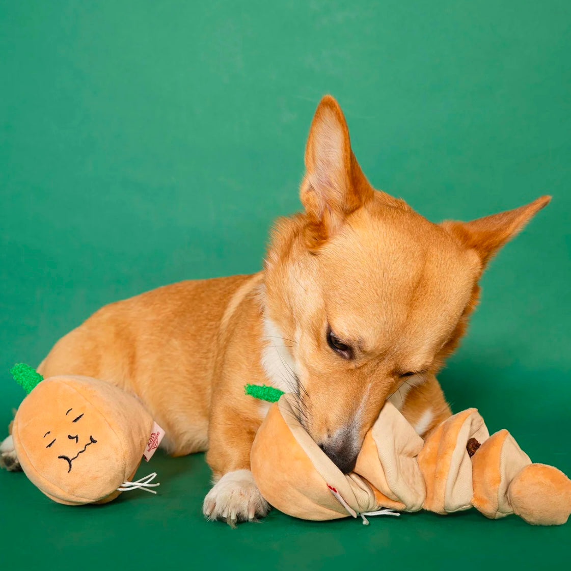 Yellow Onion Nosework Toy