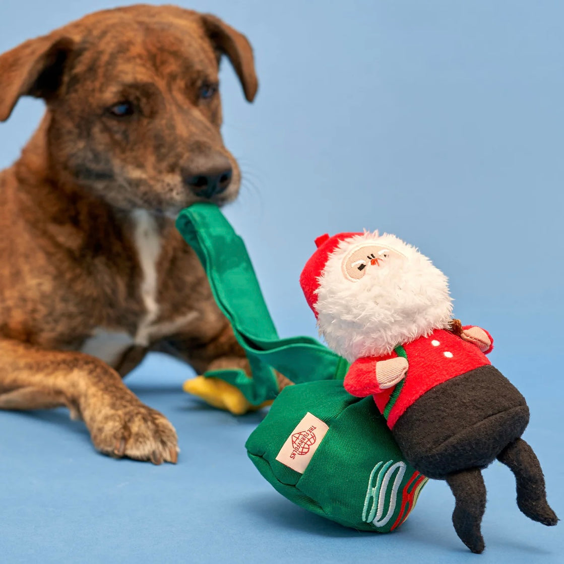 Santa Paws Nosework Toy