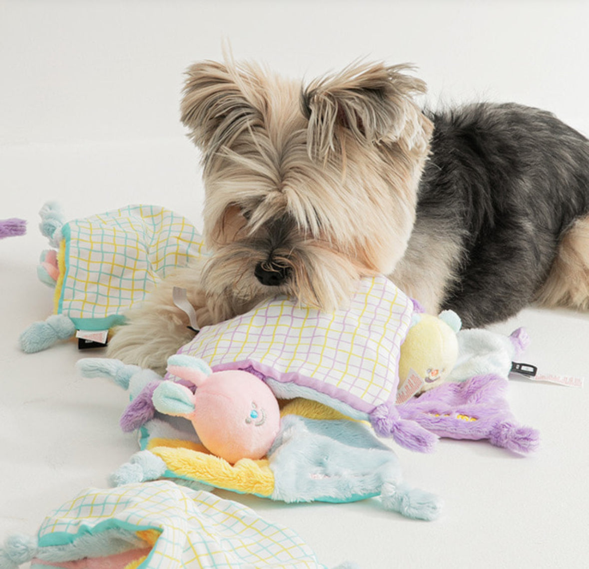 Crinkle Blanket Toy