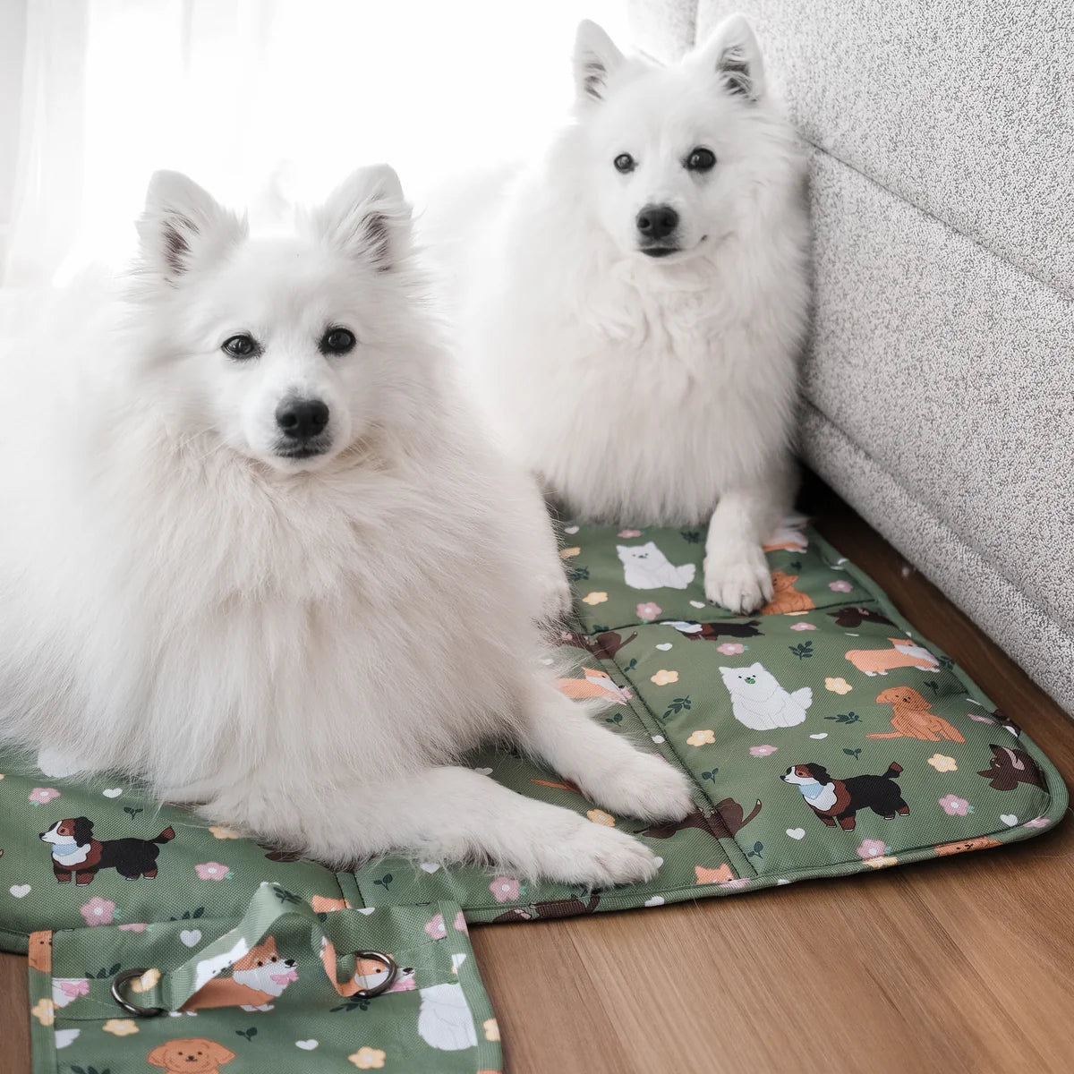 dogs at the park settle mat