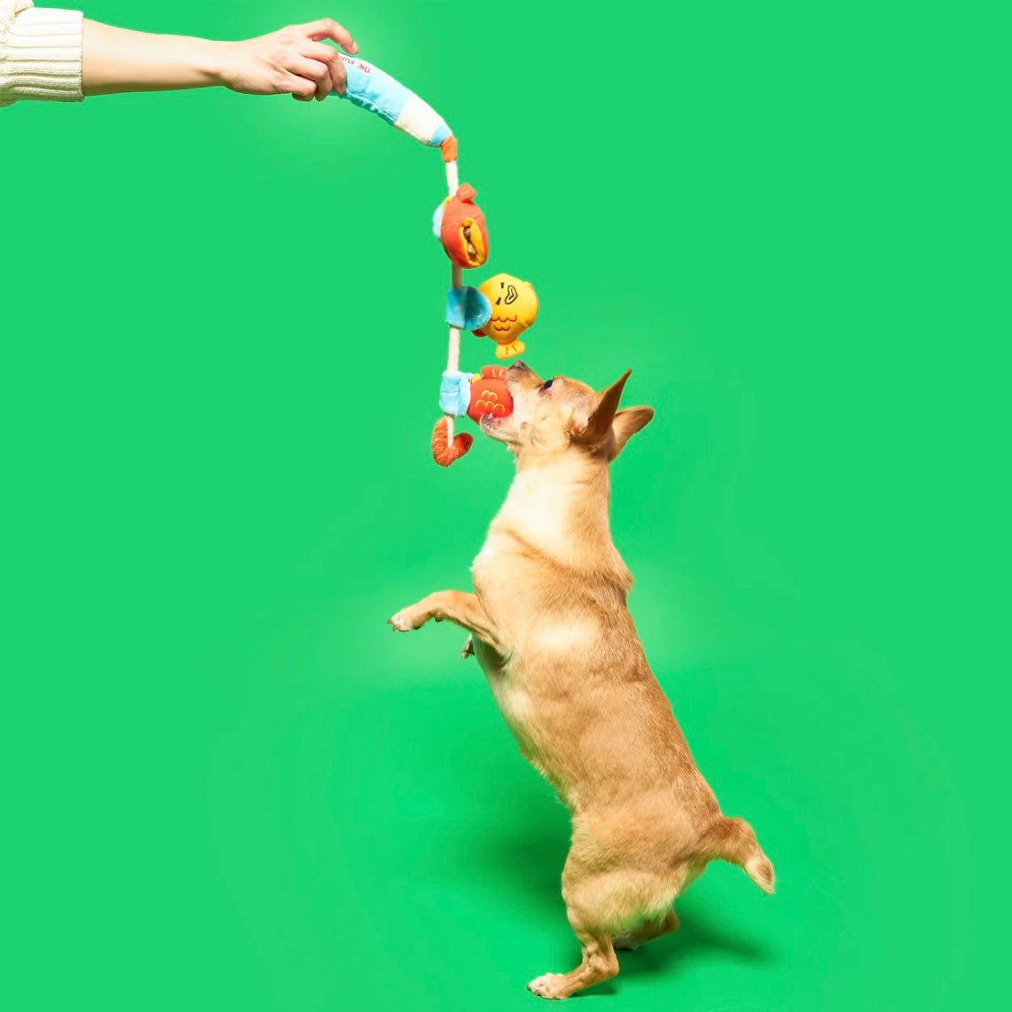Fishing Nosework & Tug Toy