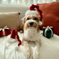 Santa Claus Hat
