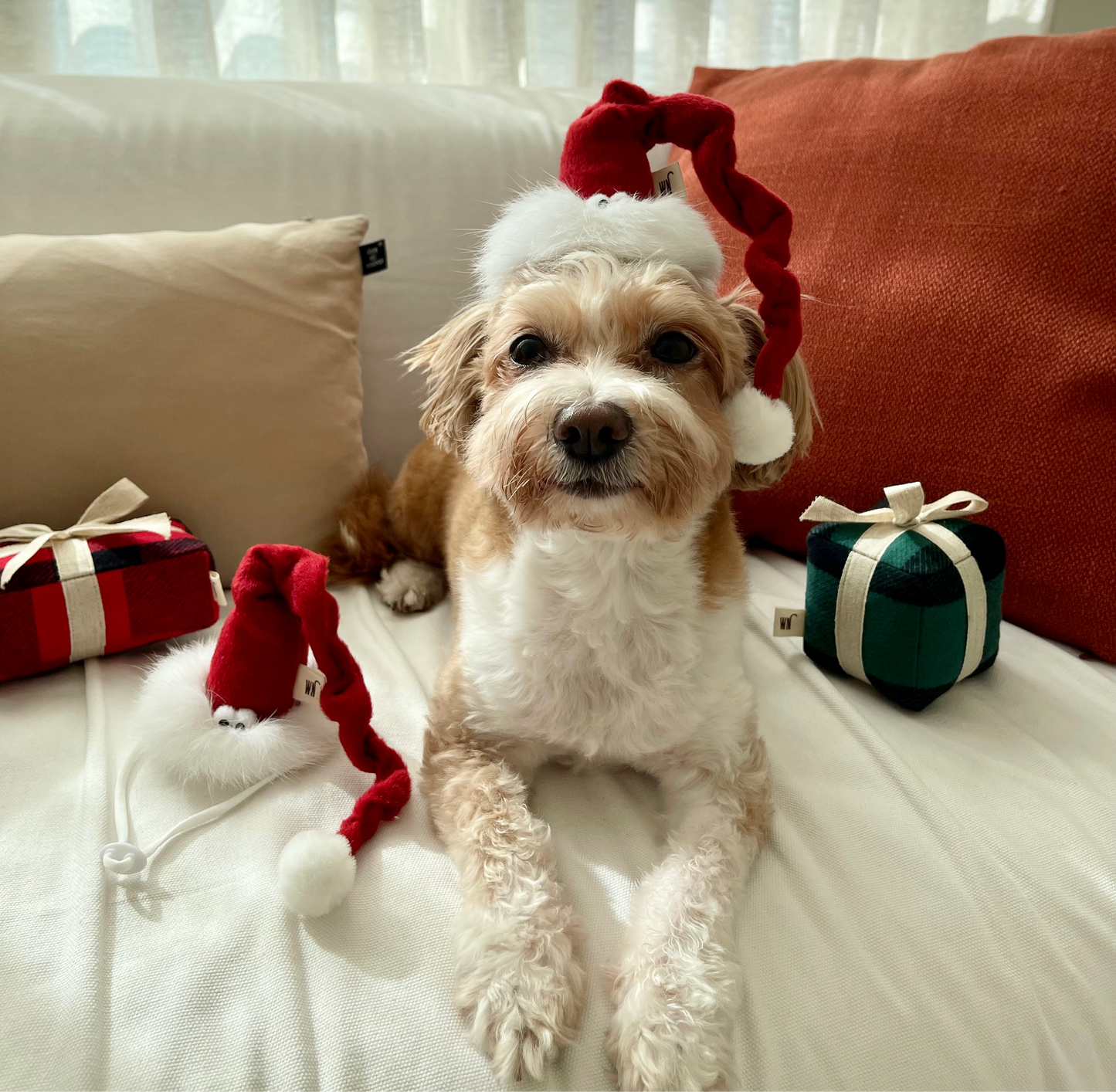 Santa Claus Hat