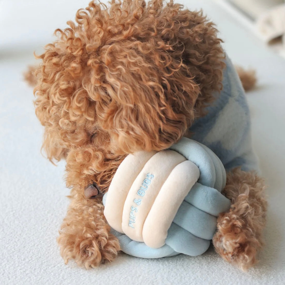 Snuffle Knot Nosework Toy