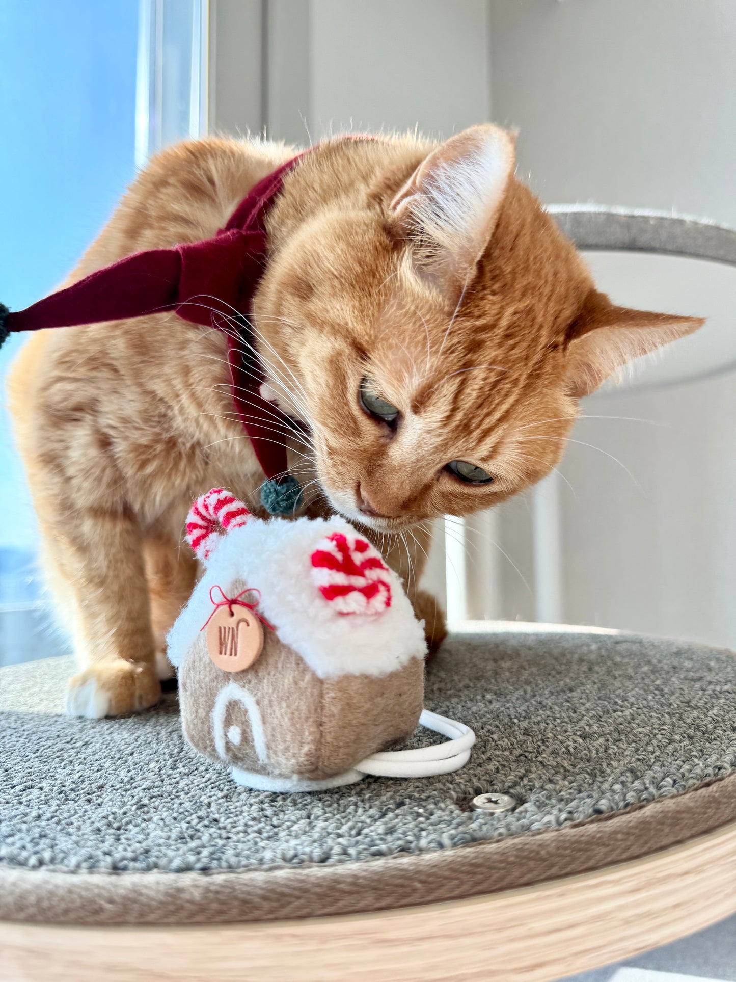 Gingerbread House Head Piece