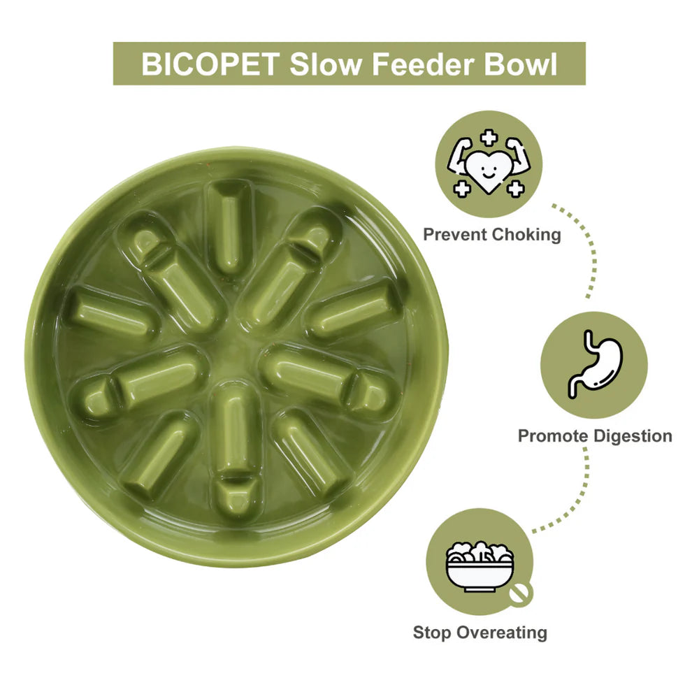 PEHOM Wave Slow Feeder Bowl