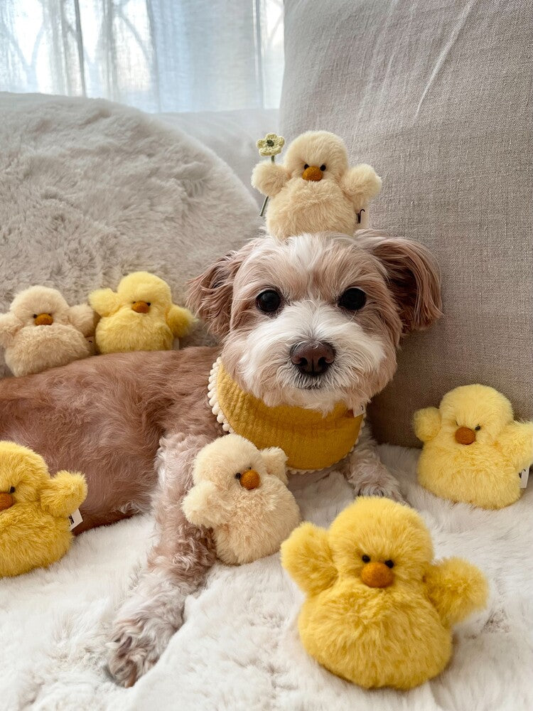 Chick Dog Toy (Set of 3)