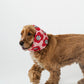 Red Flowers Snood