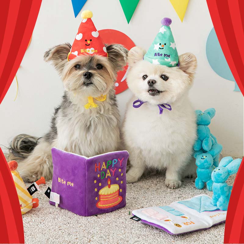 Happy Birthday Card Toy