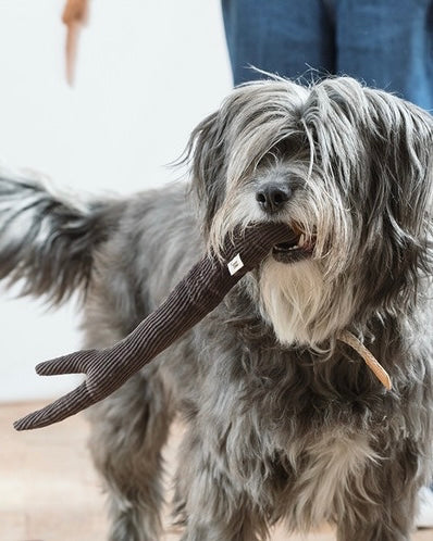 Walnut Wood Dog Toy