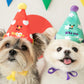 Happy Party Hat Toy (Set of 3)