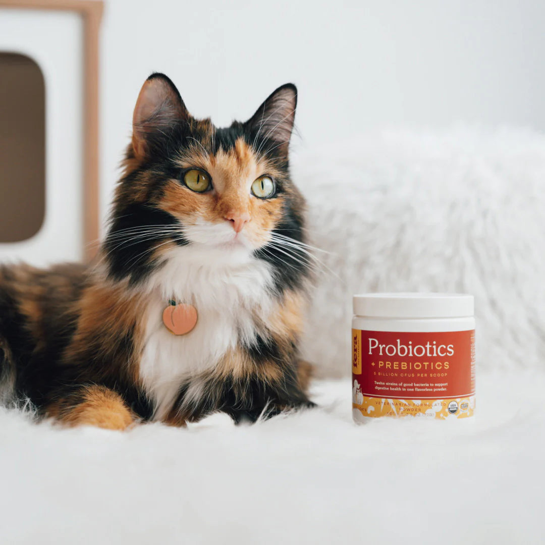 Organic Probiotics with Prebiotics (60 servings) for Dogs and Cats