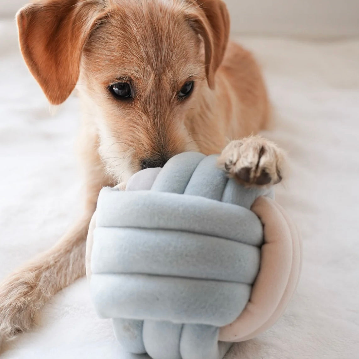 Snuffle Knot Nosework Toy