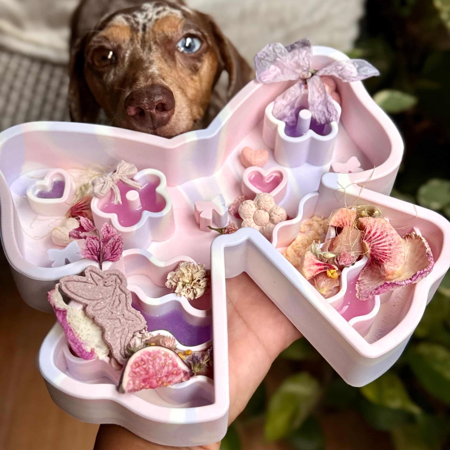 coquette forage feeder in unicorn sorbet