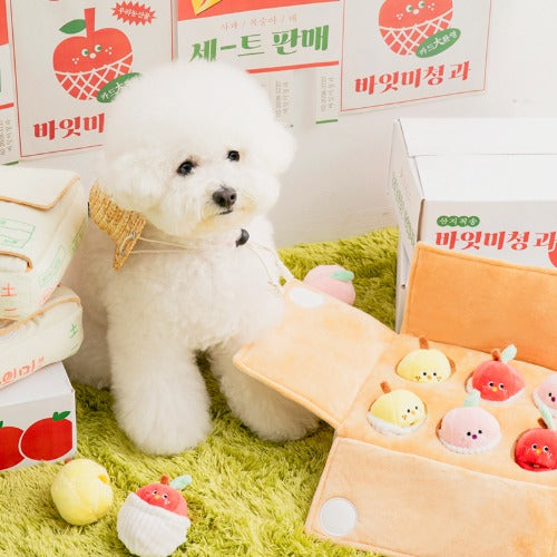 *NEW* Mixed Fruits Box Nosework Toy
