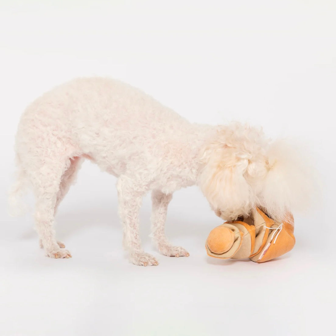 Yellow Onion Nosework Toy