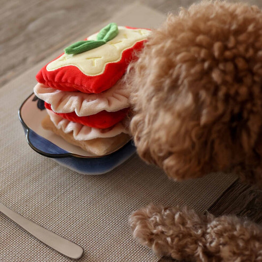 Lasagna Nosework Toy