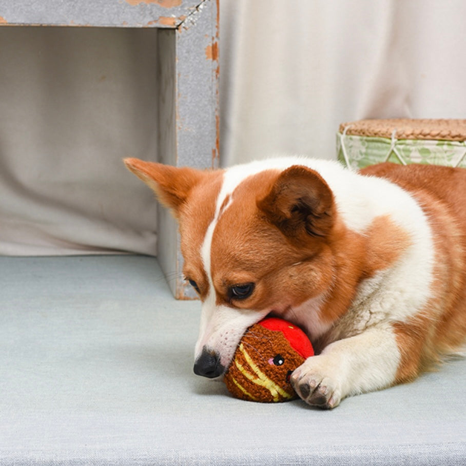 Spaghetti Meatball Super Ball Toy