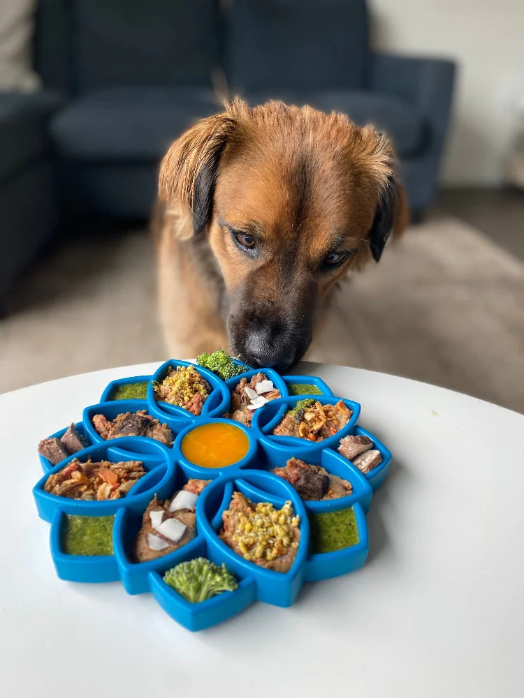 Mandala Design Enrichment Tray