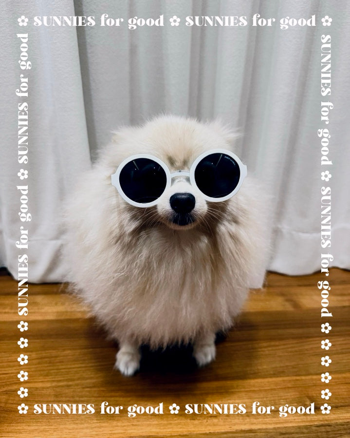 ✿ SUNNIES for good ✿ Round Ivory White