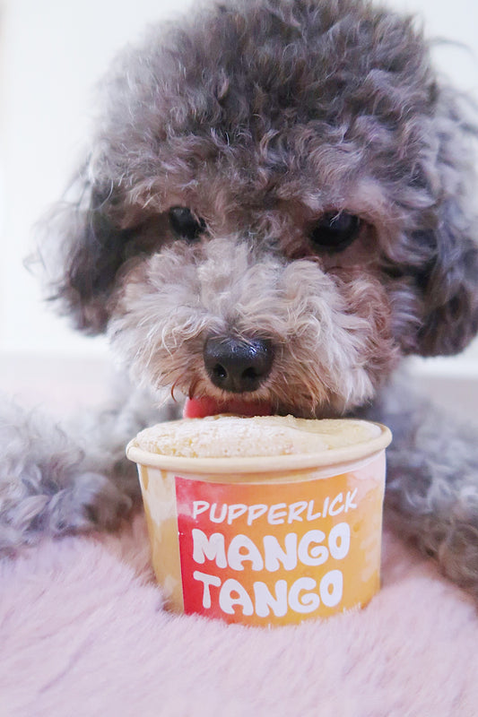 Mango Tango Party Cup