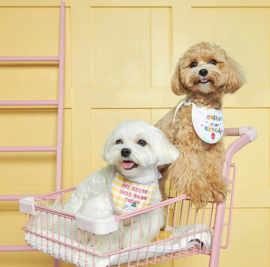 Hooray! It's My Birthday Bib