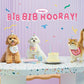 Hooray! It's My Birthday Bib